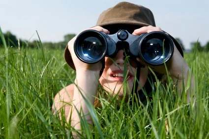 Background Investigation